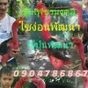 เอ็ก ซุ้มเพชรมงคลไซง่อนพัฒนา