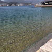釣り好き学生限定