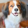にれマニア達の集い🐶🩷☕️【発言禁止】