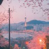 STARTOと芸能人なりきりオプ