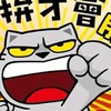 2026拚九合一地方選舉