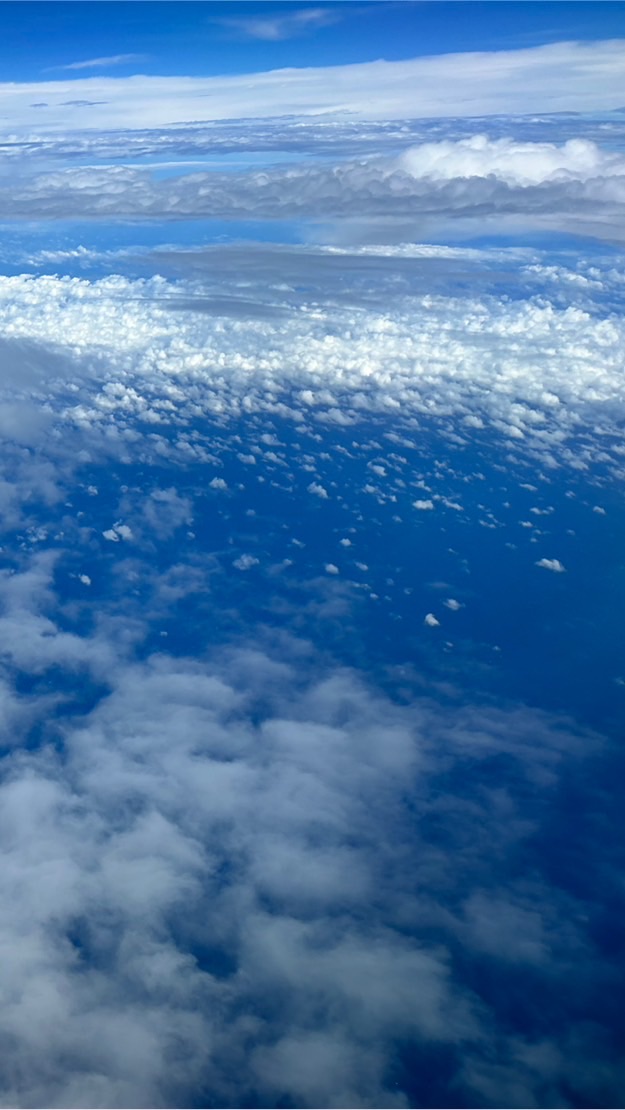 Sure9神行富育團隊