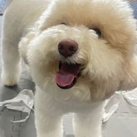 安安他媽媽的世界