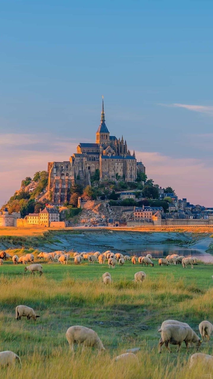 🐳 รวมไอดีฝากขายกับมิสเตอร์ลัคกี้ 🐳