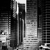 灰が覆う街（It's gray.）