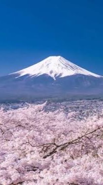 【日本🇯🇵から地球🌏を綺麗にし隊（ゴミ拾い🗑️サークル）