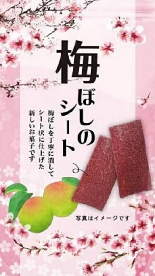 雙向安迪旅遊