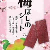 雙向安迪旅遊