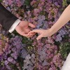 2025.3.22 Soya &Minami Wedding