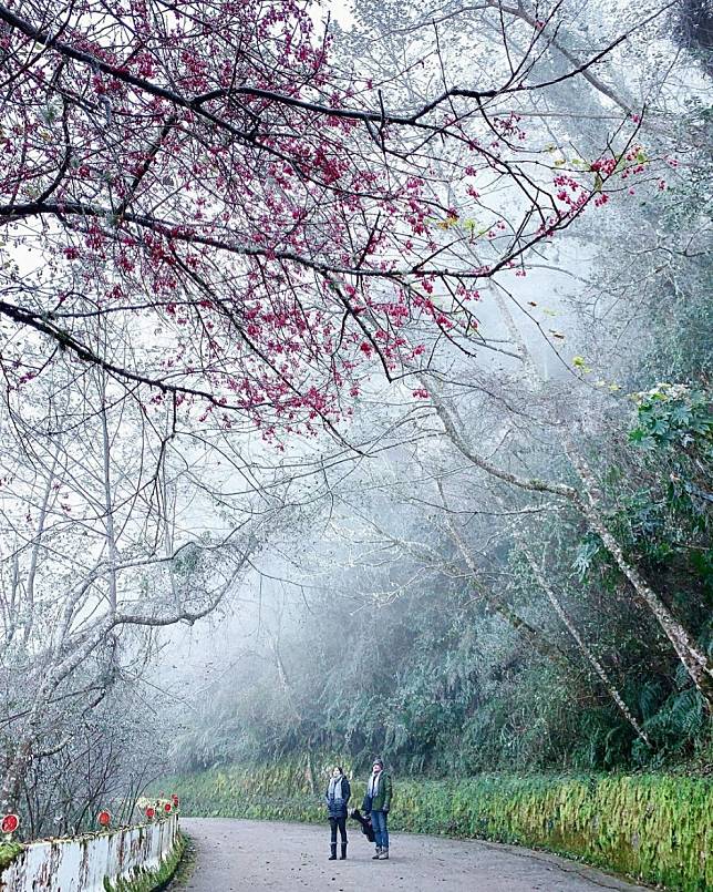 拉拉山（圖片來源：IG @rosycloudband）