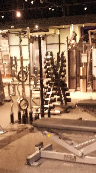 本気の筋トレダイエット