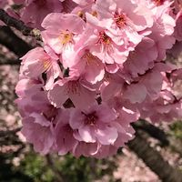 最棒班級414家長交流園地