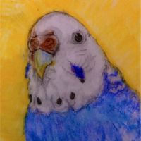 脊髄小脳変性症／多系統萎縮症／ジストニア／パーキンソン病／全疾患対象