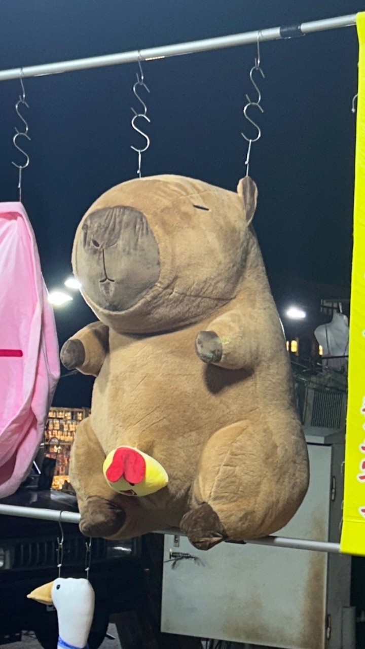 我想像中的朋友