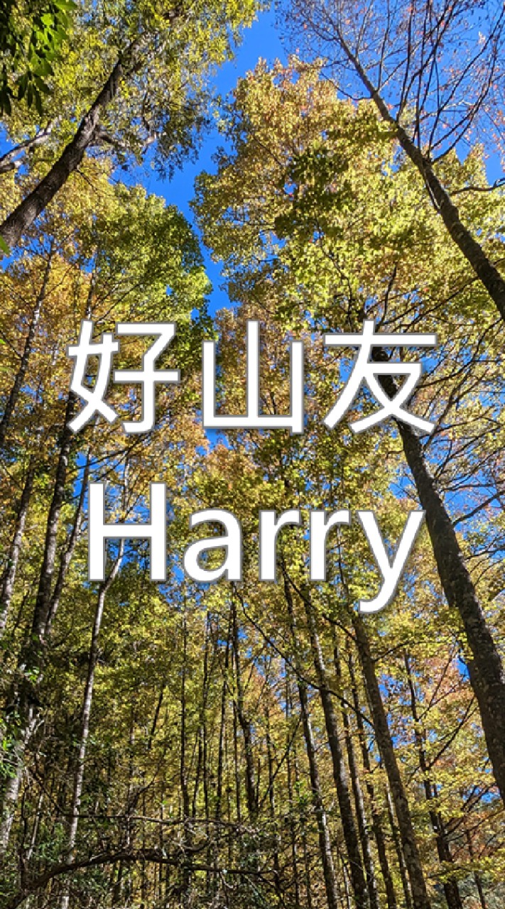 好山友 - Harry