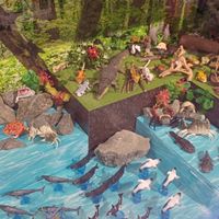 生き物大図鑑好き集まれ!