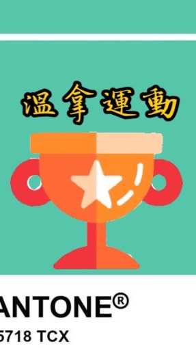 明星大亂鬥A