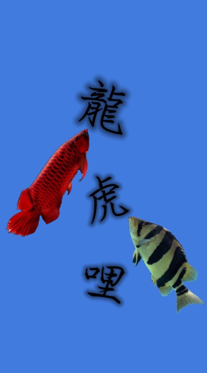 龍～虎～哩水族競標（討論）！