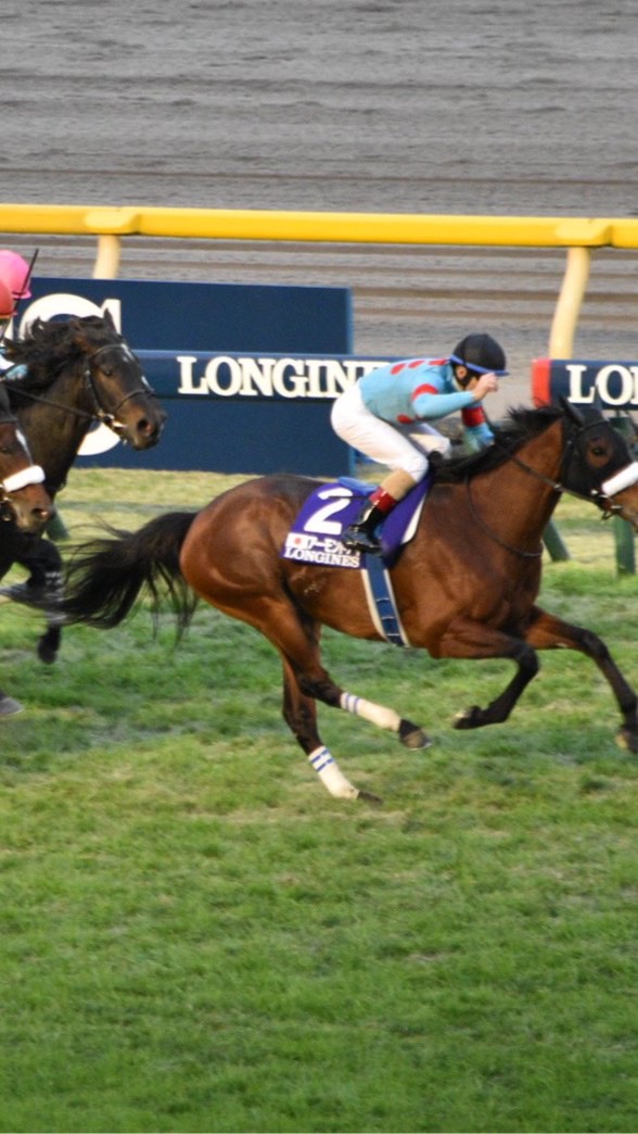 🔥競馬🏇予想戦線🏇🔥のオープンチャット