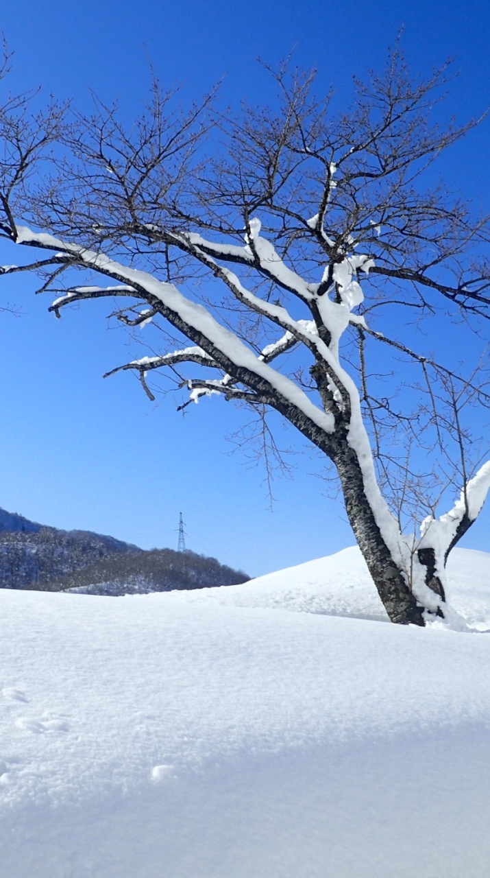 OpenChat HSP②　生きづらい人の集い☕