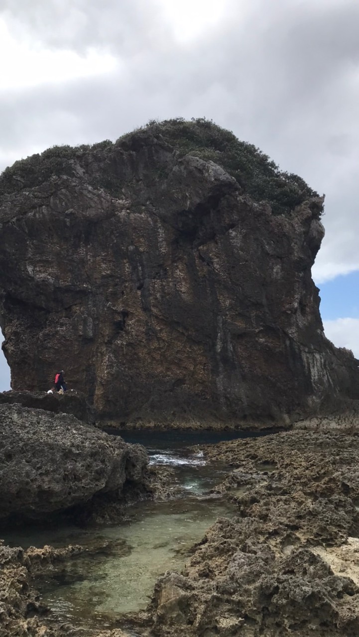 荒野亂鬥