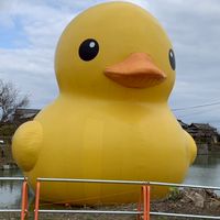 のんびり まったり ほんわか、、、50代からの集まれ愉快な仲間たち
