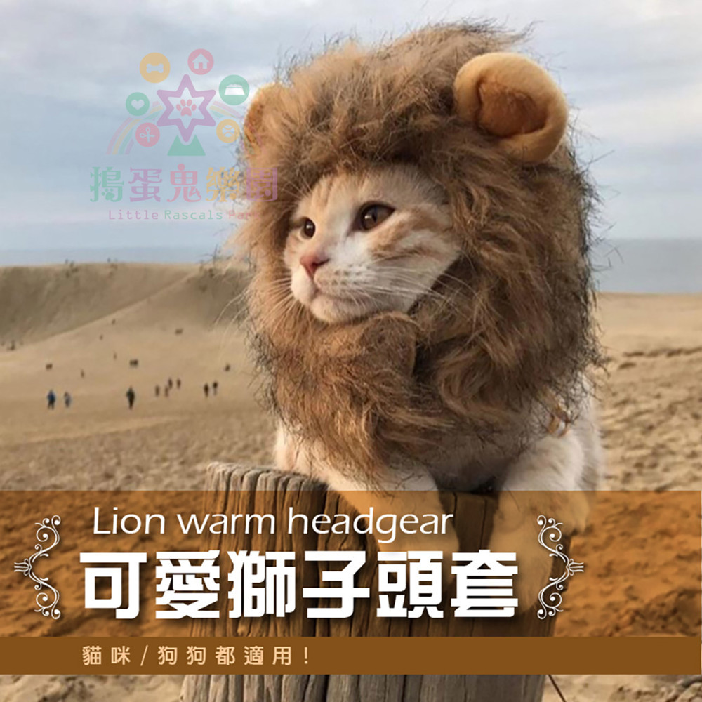 《搗蛋鬼樂園》貓咪/狗狗可愛獅子頭套（S） 保暖頭套 小耳朵帽子 寵物帽 貓咪假髮 狗貓變裝