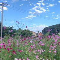 市原市〜木更津市周辺　♂♀30後半〜50前半　誰でも大歓迎♪