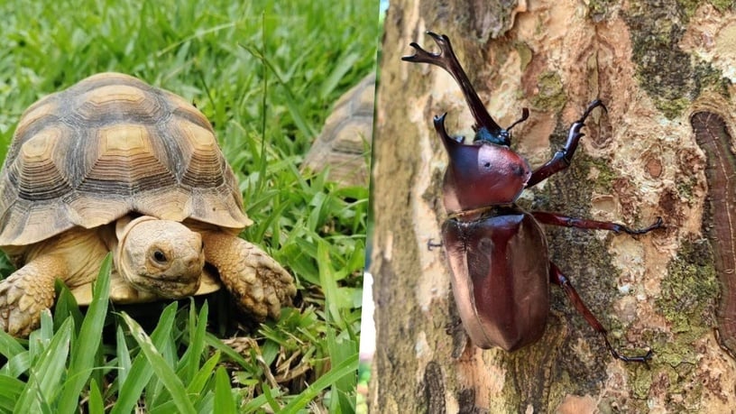 台中露營｜10間「2022台中露營」推薦，IG超夯打卡景點、湛藍大海就在眼前！