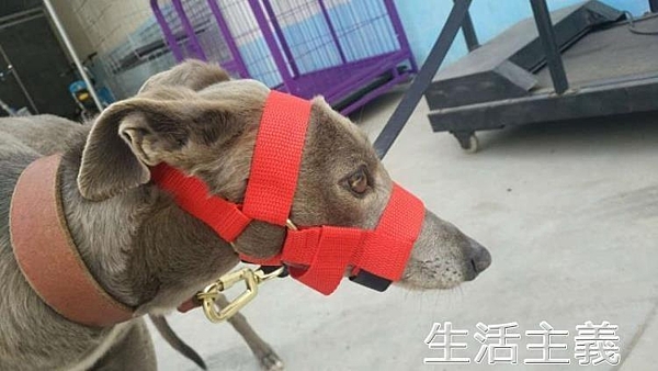 全館免運 支持開發票 外島派送 有疑問可以在商品問與答留言哦~