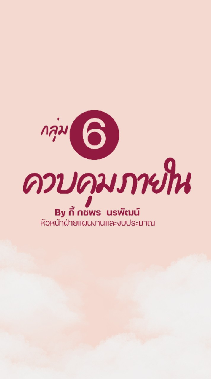 กลุ่ม 6 : การควบคุมภายใน
