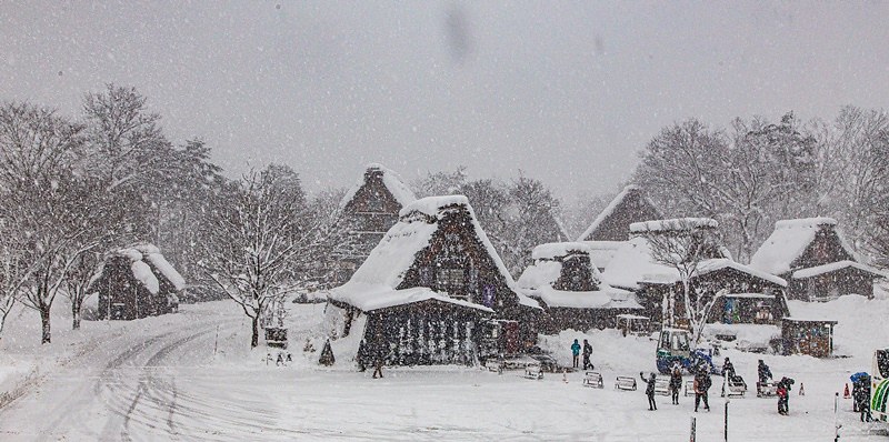 20160120-20160120-IMG_9560