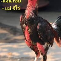 ป.อิศวะฟาร์ม