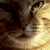 高1の集い