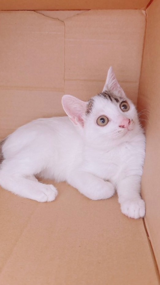 ペニンシュラ金蔵屋さん🩷