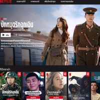 Netflix 35 วัน 80฿