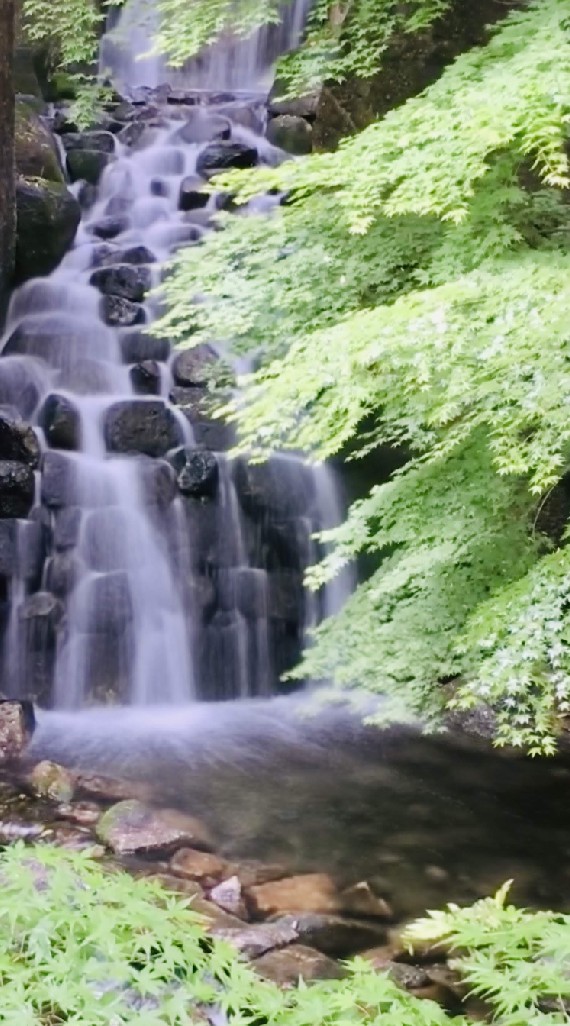 アトピー応援部🤟のオープンチャット