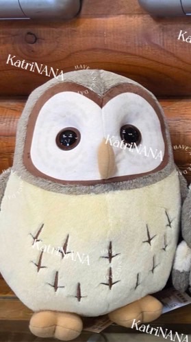 貓貓貓貓貓貓頭鷹🦉喵桃叼代買