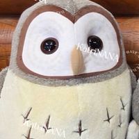 貓貓貓貓貓貓頭鷹🦉喵桃叼代買