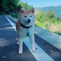 超優良健康個体