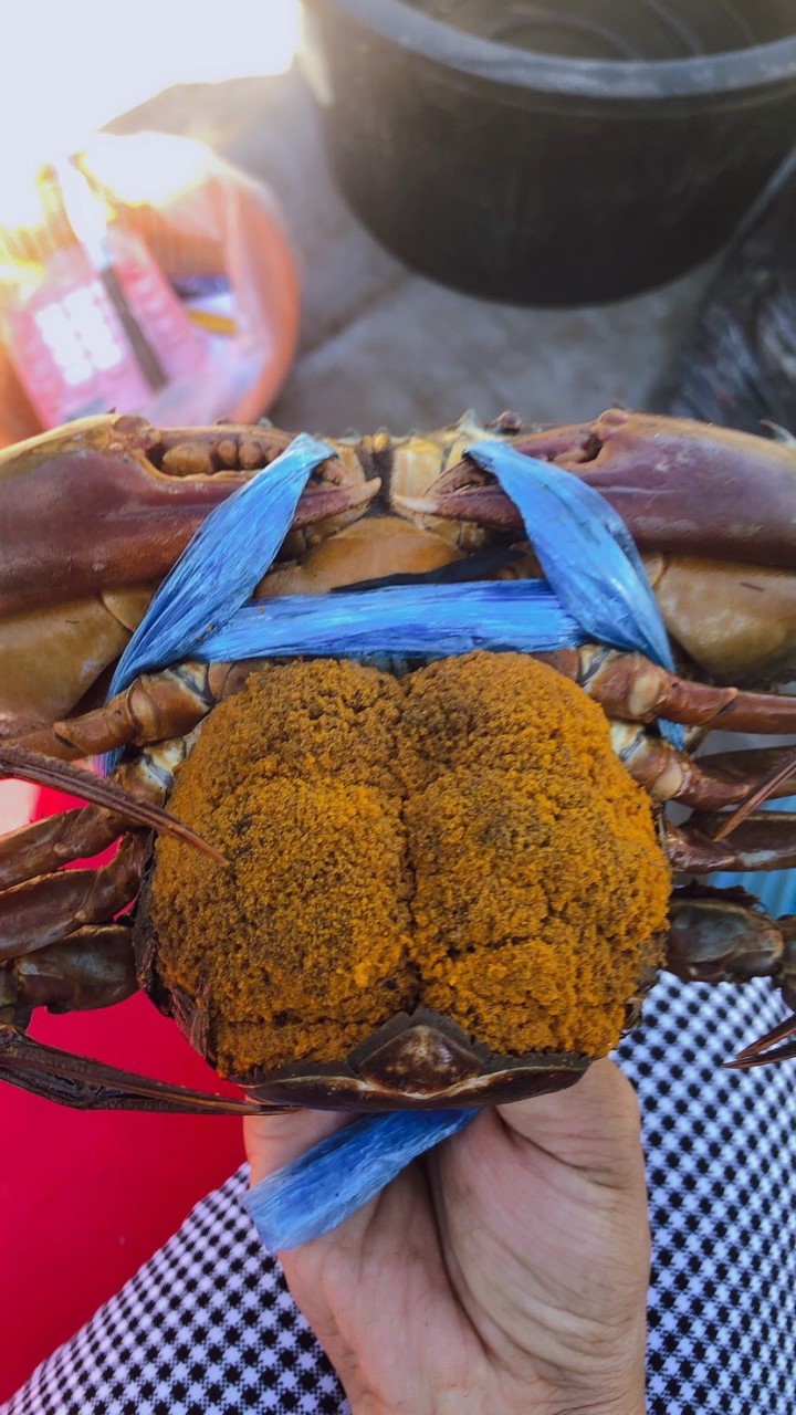 ตลาดซื้อขาย  ปู  และวิชาการ