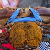 ตลาดซื้อขาย  ปู  และวิชาการ
