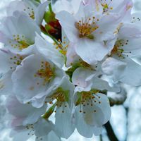 なろう系ではない小説を執筆したい者の集い