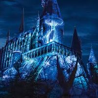 {°wolf city°}