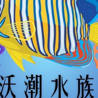 沃潮水族