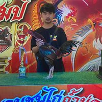 ซุ้ม ส. สิงเพชร