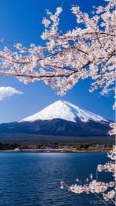 臻愛趣日本✈️旅行找Bolly✈️