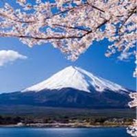 臻愛趣日本✈️旅行找Bolly✈️
