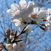 【完全無料】ガッキーの予想外せば的中する競艇部屋☆
