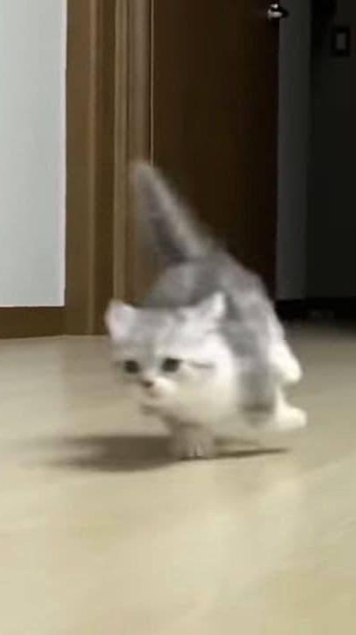 🌀คุยเล่น 24 ชม.〰️ 🥨